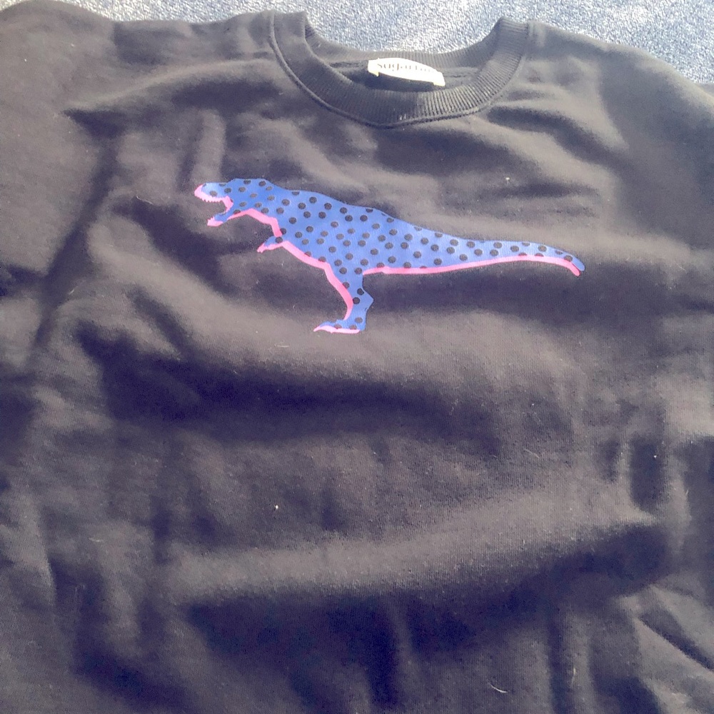 Dinosaur sweatshirt size 8 never worn